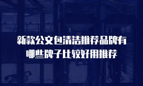 新款公文包清洁推荐品牌有哪些牌子比较好用推荐