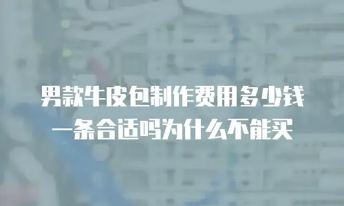 男款牛皮包制作费用多少钱一条合适吗为什么不能买