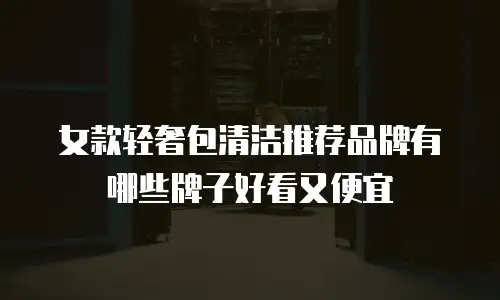女款轻奢包清洁推荐品牌有哪些牌子好看又便宜
