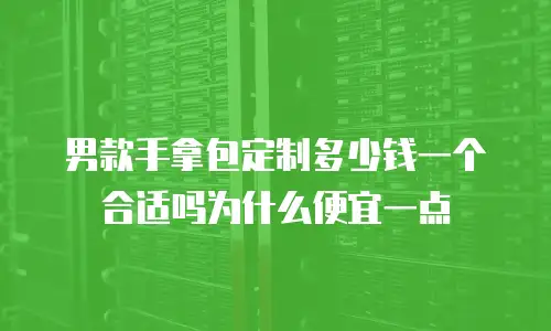 男款手拿包定制多少钱一个合适吗为什么便宜一点