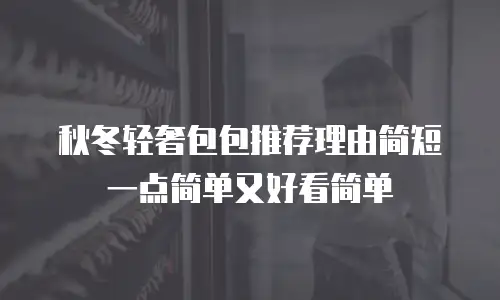 秋冬轻奢包包推荐理由简短一点简单又好看简单