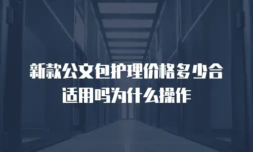 新款公文包护理价格多少合适用吗为什么操作