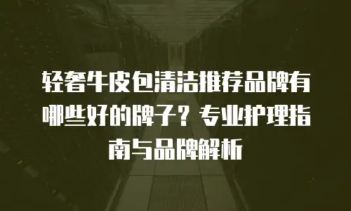 轻奢牛皮包清洁推荐品牌有哪些好的牌子？专业护理指南与品牌解析