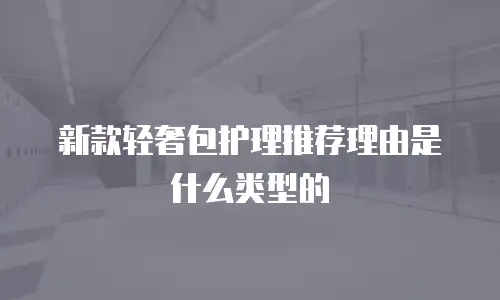 新款轻奢包护理推荐理由是什么类型的