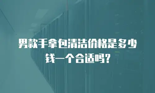 男款手拿包清洁价格是多少钱一个合适吗？