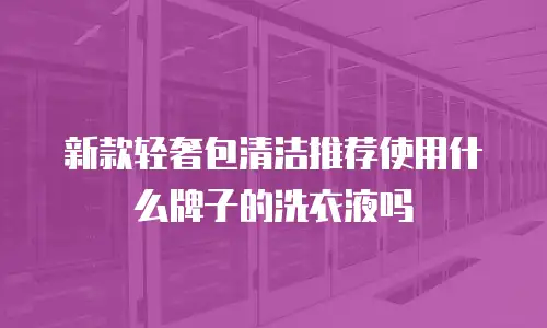 新款轻奢包清洁推荐使用什么牌子的洗衣液吗