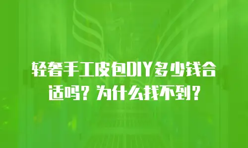 轻奢手工皮包DIY多少钱合适吗？为什么找不到？