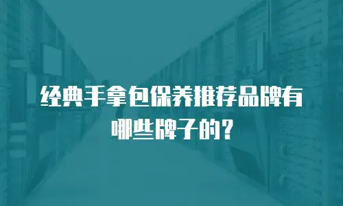 经典手拿包保养推荐品牌有哪些牌子的？