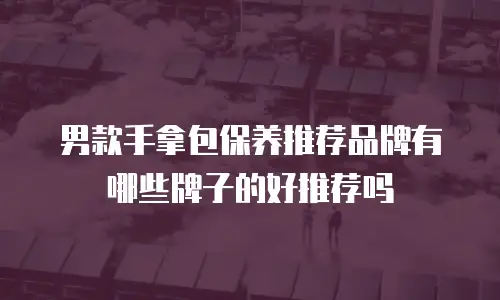男款手拿包保养推荐品牌有哪些牌子的好推荐吗