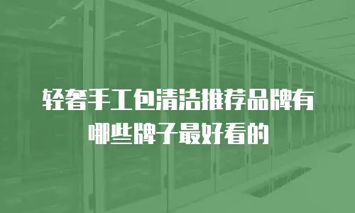 轻奢手工包清洁推荐品牌有哪些牌子最好看的