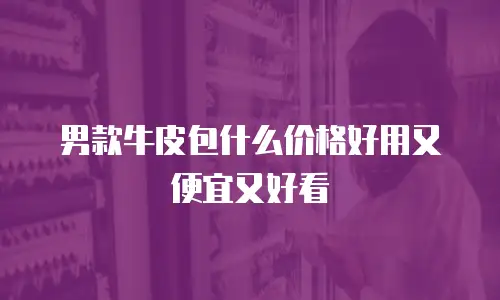 男款牛皮包什么价格好用又便宜又好看