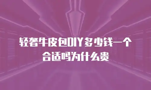 轻奢牛皮包DIY多少钱一个合适吗为什么贵