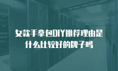 女款手拿包DIY推荐理由是什么比较好的牌子吗