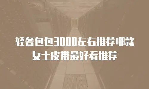 轻奢包包3000左右推荐哪款女士皮带最好看推荐