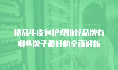 精品牛皮包护理推荐品牌有哪些牌子最好的全面解析