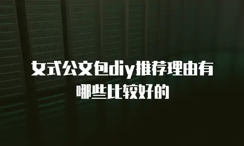 女式公文包diy推荐理由有哪些比较好的