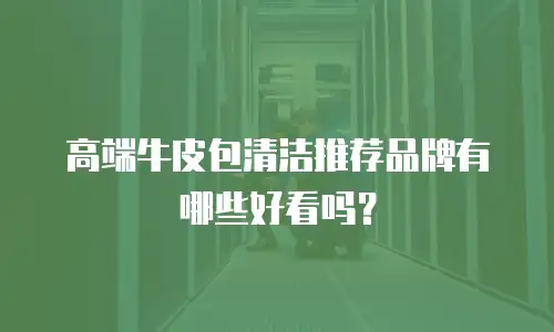 高端牛皮包清洁推荐品牌有哪些好看吗？