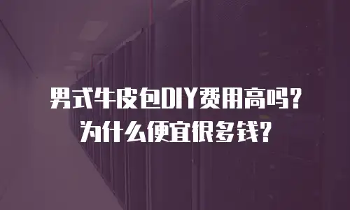 男式牛皮包DIY费用高吗？为什么便宜很多钱？