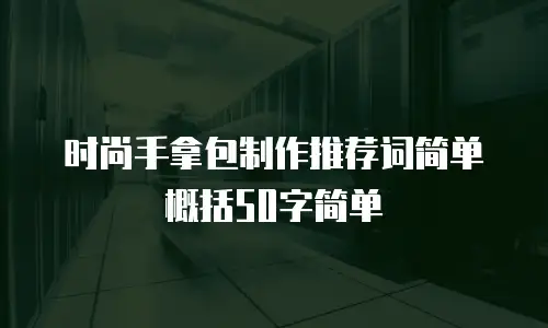 时尚手拿包制作推荐词简单概括50字简单