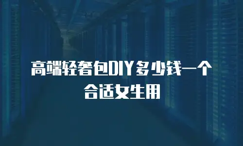 高端轻奢包DIY多少钱一个合适女生用