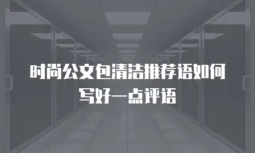 时尚公文包清洁推荐语如何写好一点评语