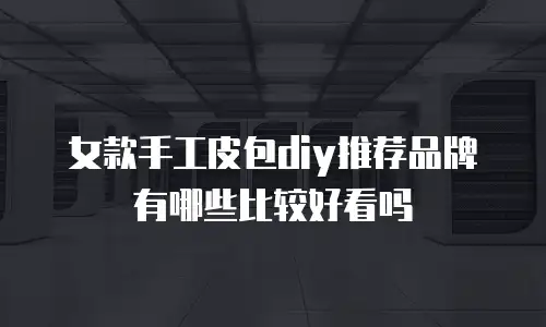 女款手工皮包diy推荐品牌有哪些比较好看吗