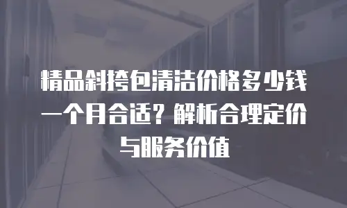 精品斜挎包清洁价格多少钱一个月合适？解析合理定价与服务价值