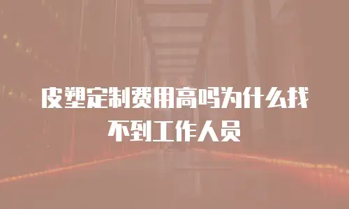 皮塑定制费用高吗为什么找不到工作人员