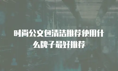 时尚公文包清洁推荐使用什么牌子最好推荐