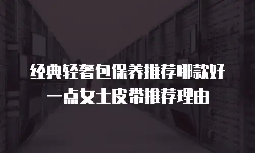 经典轻奢包保养推荐哪款好一点女士皮带推荐理由