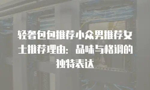 轻奢包包推荐小众男推荐女士推荐理由：品味与格调的独特表达