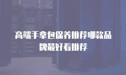 高端手拿包保养推荐哪款品牌最好看推荐