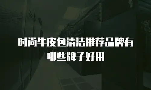 时尚牛皮包清洁推荐品牌有哪些牌子好用