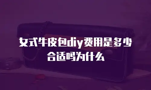 女式牛皮包diy费用是多少合适吗为什么