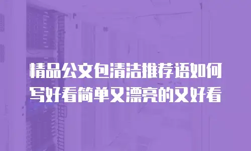 精品公文包清洁推荐语如何写好看简单又漂亮的又好看