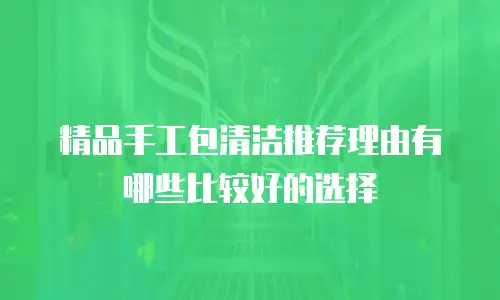 精品手工包清洁推荐理由有哪些比较好的选择