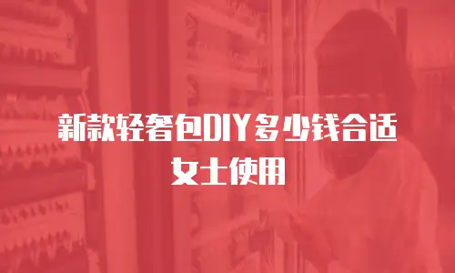 新款轻奢包DIY多少钱合适女士使用
