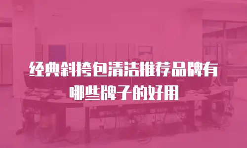 经典斜挎包清洁推荐品牌有哪些牌子的好用