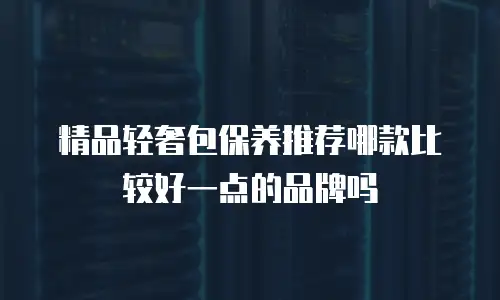 精品轻奢包保养推荐哪款比较好一点的品牌吗