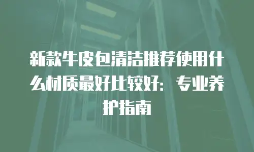 新款牛皮包清洁推荐使用什么材质最好比较好：专业养护指南