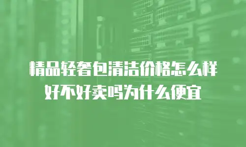 精品轻奢包清洁价格怎么样好不好卖吗为什么便宜