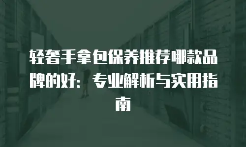 轻奢手拿包保养推荐哪款品牌的好：专业解析与实用指南