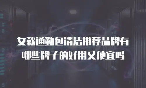 女款通勤包清洁推荐品牌有哪些牌子的好用又便宜吗