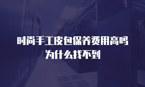 时尚手工皮包保养费用高吗为什么找不到