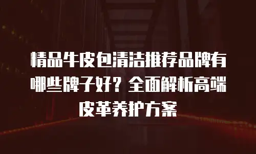 精品牛皮包清洁推荐品牌有哪些牌子好？全面解析高端皮革养护方案