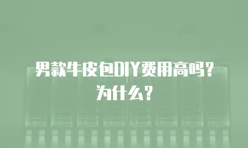 男款牛皮包DIY费用高吗？为什么？