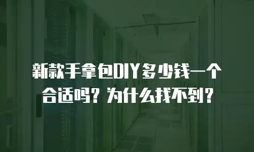 新款手拿包DIY多少钱一个合适吗？为什么找不到？