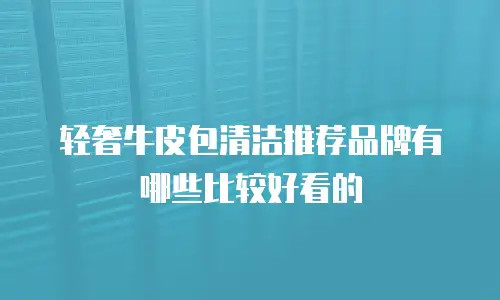 轻奢牛皮包清洁推荐品牌有哪些比较好看的