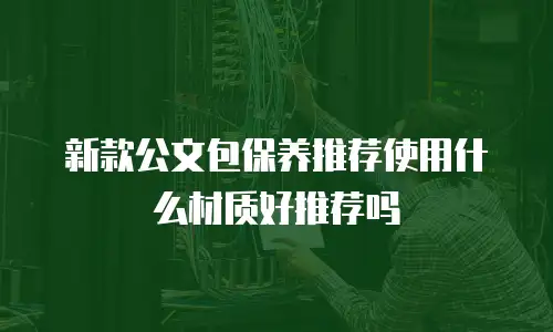 新款公文包保养推荐使用什么材质好推荐吗