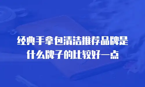 经典手拿包清洁推荐品牌是什么牌子的比较好一点